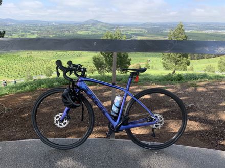 Lesley Urwin