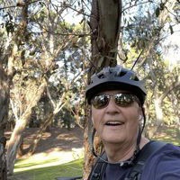 Michael Shearwood