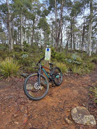 Jean-Pierre De Lange