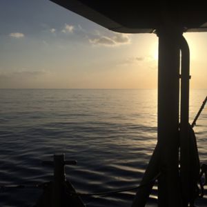 Adam Sea