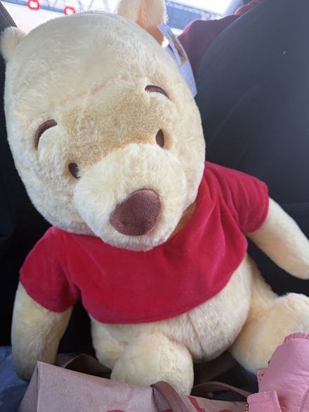 Sucheta Kaur