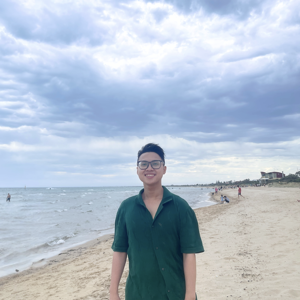 Duc Minh Vo