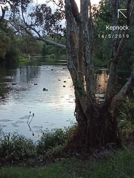 Laura, Bevan, Eric, Alma, Kylie