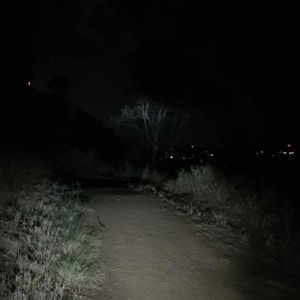 Update2510525