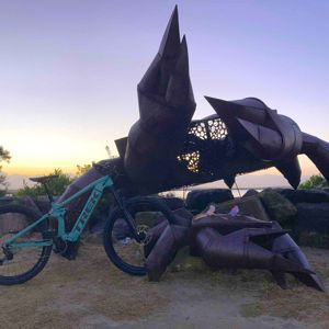 Ride image