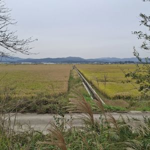 Ride image