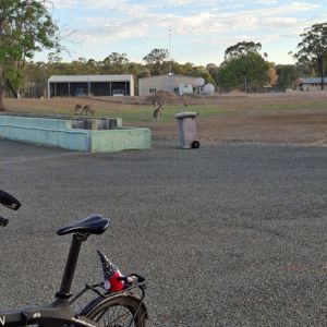 Ride image