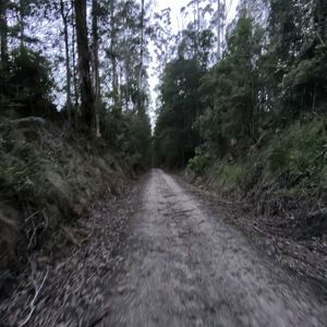 Ride image