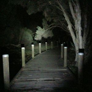Ride image