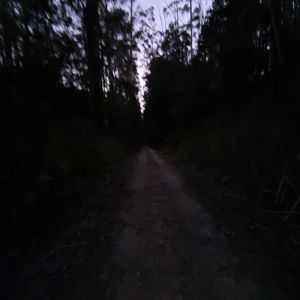Ride image