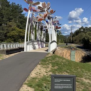 Ride image