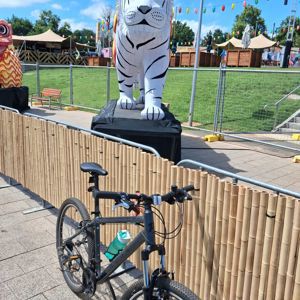 Ride image