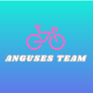 Anguses Team