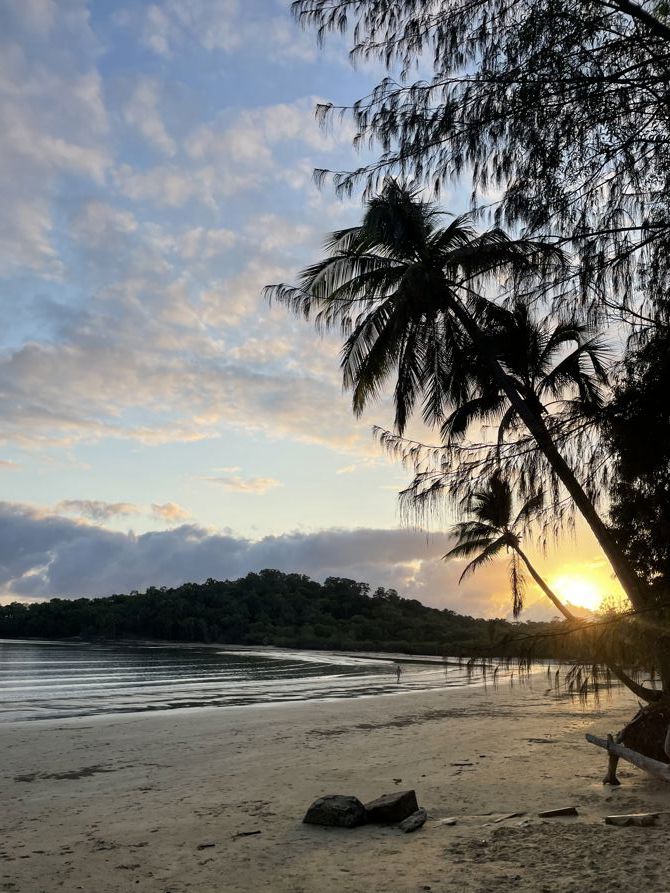 Palm Cove