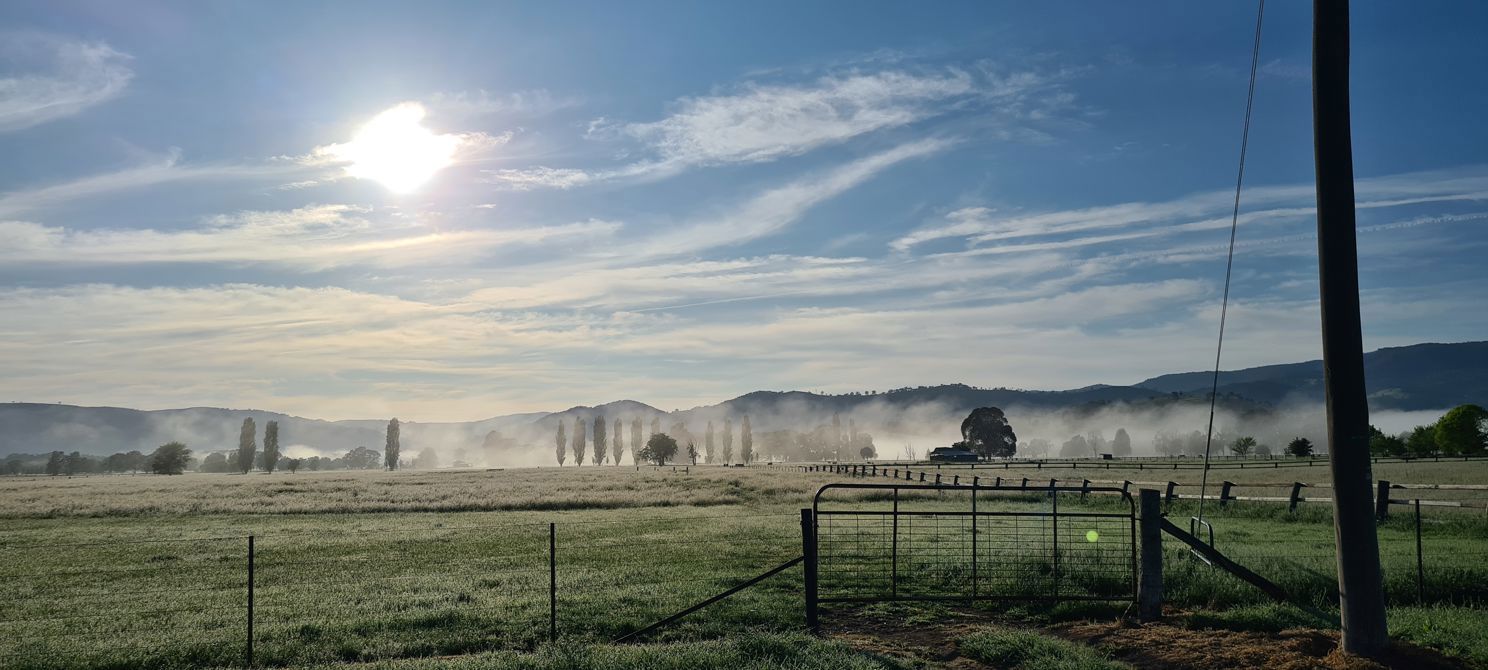 Another beautiful spring morning