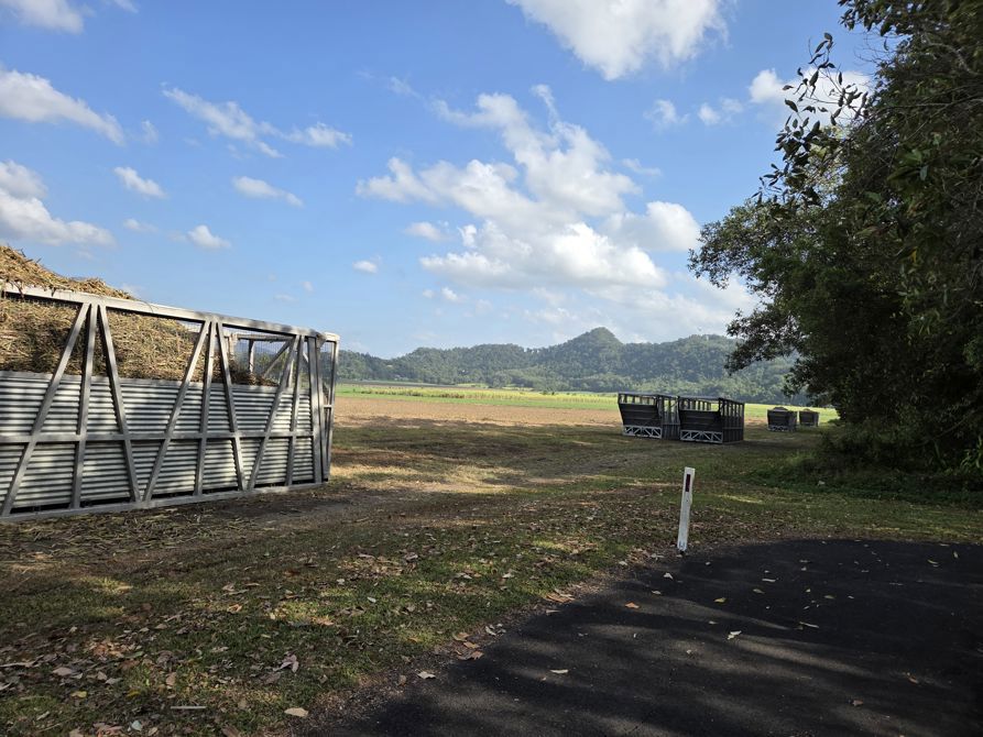 Early Morning around Mossman