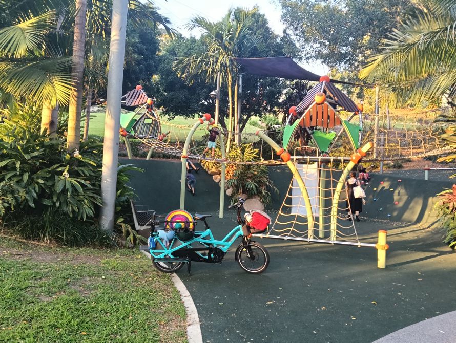 From our afternoon ride with my grandkids