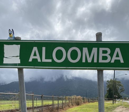 END OF WEEK 2 AND INTO WEEK 3: GETTING THERE!