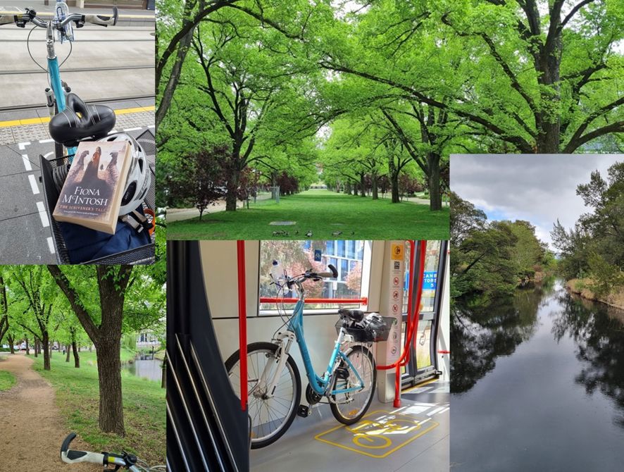 Ride 4-6 all about the place