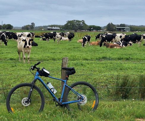 Day 28 "On the way home now "