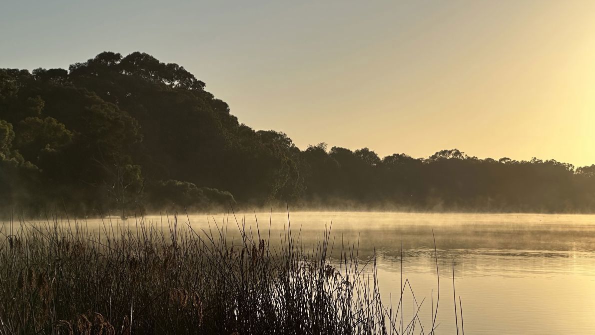 🚴‍♂️ A Chilly Morning, a Warming Lake, and a New Challenge!