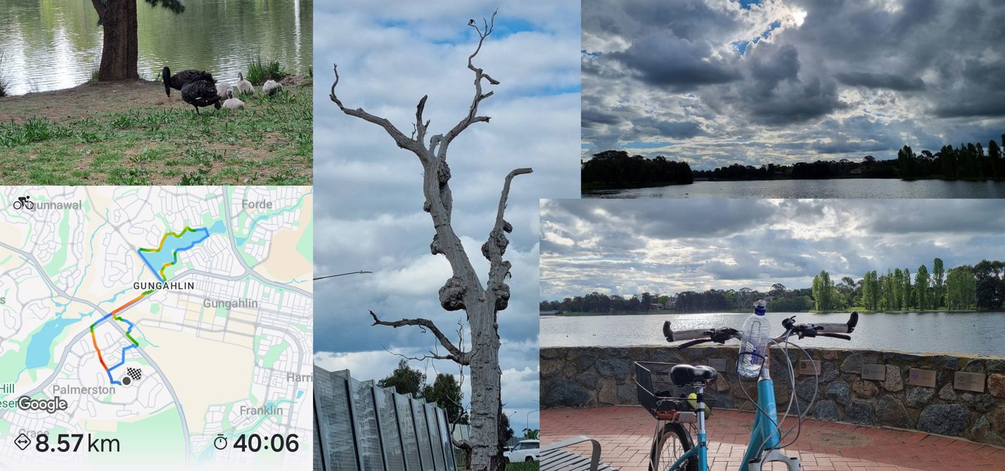 Ride 4: Yerrabi Pond again (without help from the car)